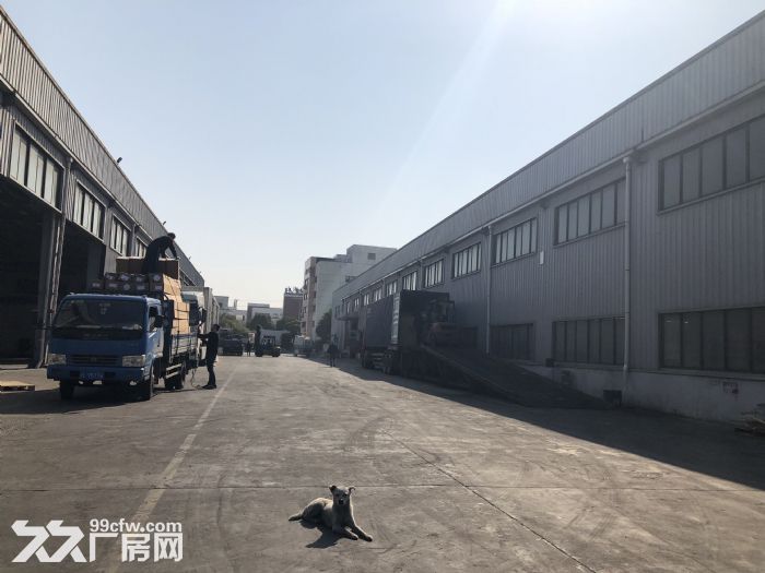 新桥一房东单层600平米厂房出租无公摊