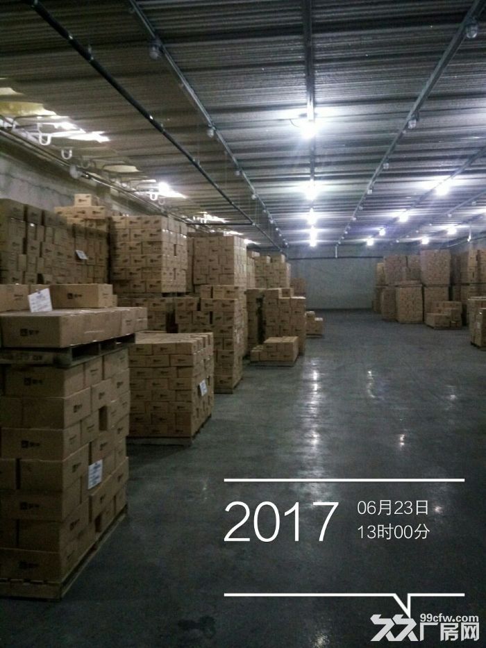 大型冷庫食品加工車間出租-圖(5)