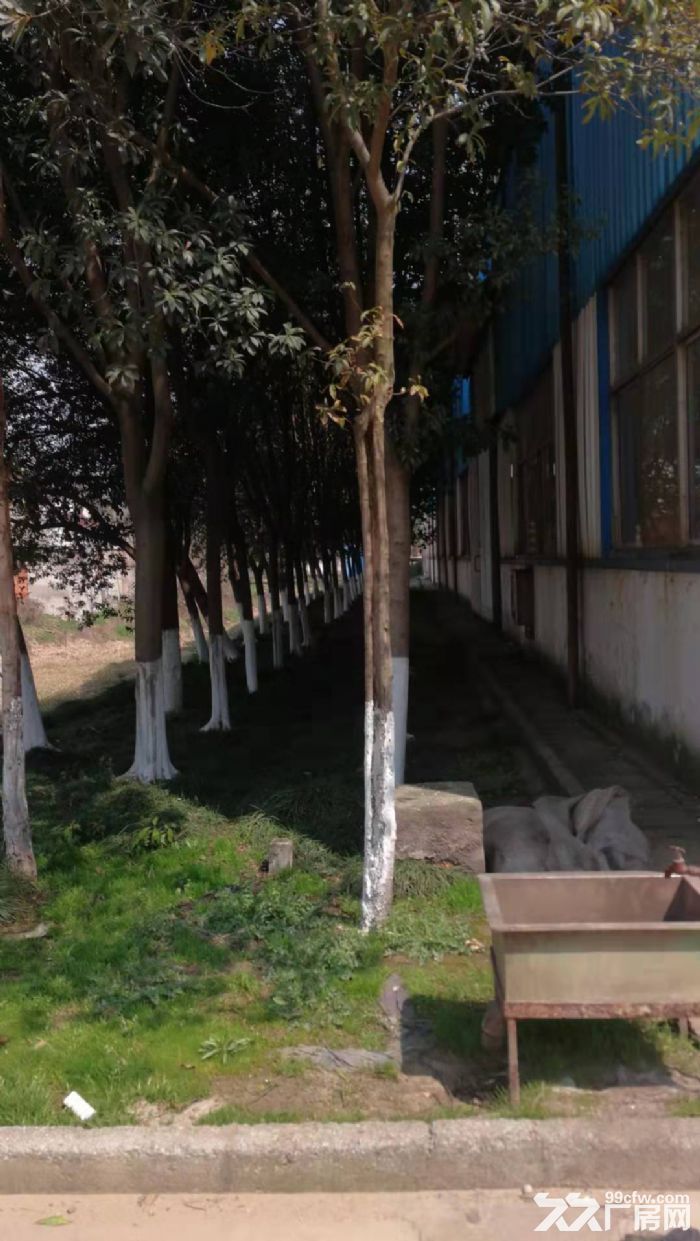 12000㎡宜兴厂房出租可做重型机械加工产证齐