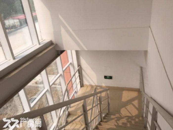 (出租)?豐樹大連金州物流園?大體量高標庫火熱招租中-圖(4)