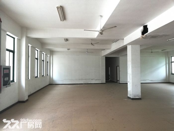 連云港市連云區江寧工業園區一工業廠區出售-圖（4）