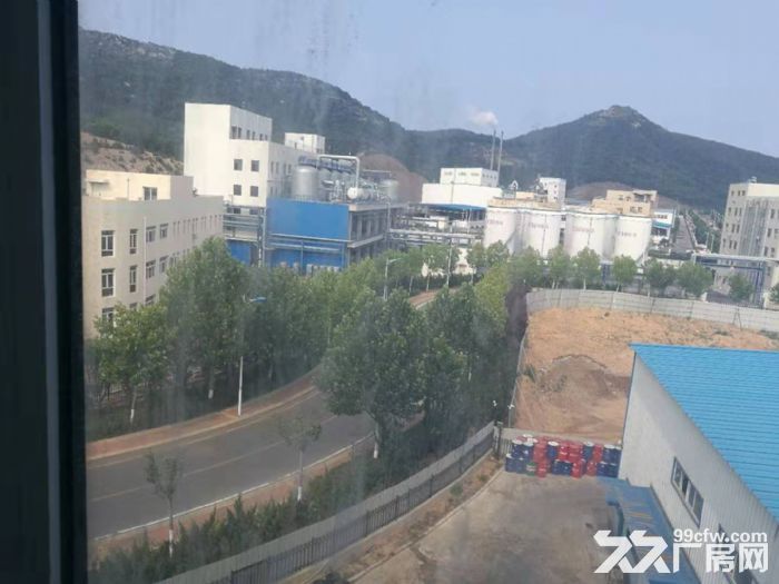 大連開發(fā)區(qū)大孤山臨港工業(yè)區(qū)廠房4286平方米出售-圖(7)