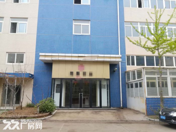 大連開發區臥龍工業園一期產權廠房出售-圖(2)