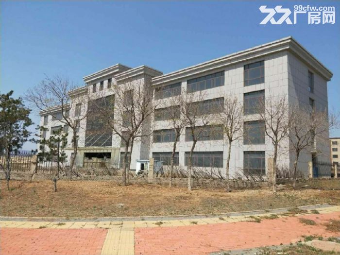 長興島臨港工業區75畝廠房土地出售-圖(7)