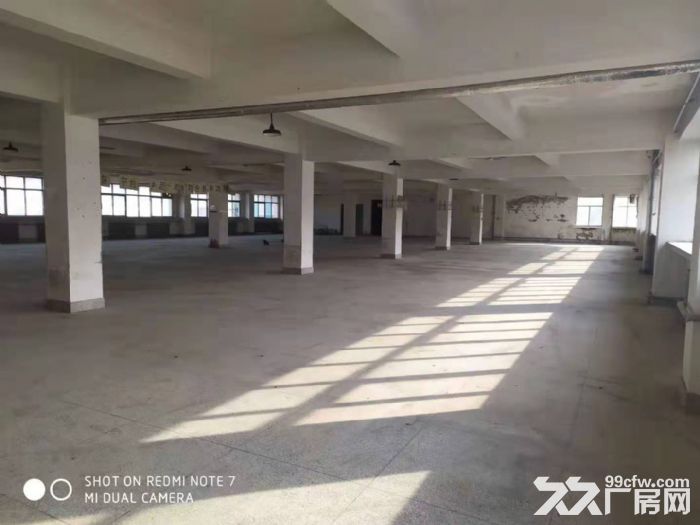 開發區辦公室 倉儲 加工場地出租 可分割-圖(1)