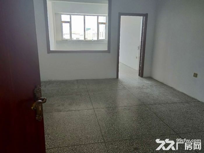 開發區辦公室 倉儲 加工場地出租 可分割-圖(4)