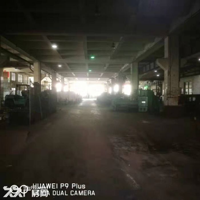 金州區(qū)金鉆路廠房、辦公樓出租-圖(8)