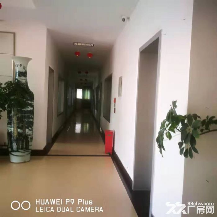 金州地區(qū)辦公樓出租5層可分租,還有廠房、倉庫、食堂均可出租-圖(1)