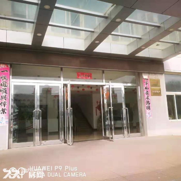 金州地區(qū)辦公樓出租5層可分租,還有廠房、倉庫、食堂均可出租-圖(2)