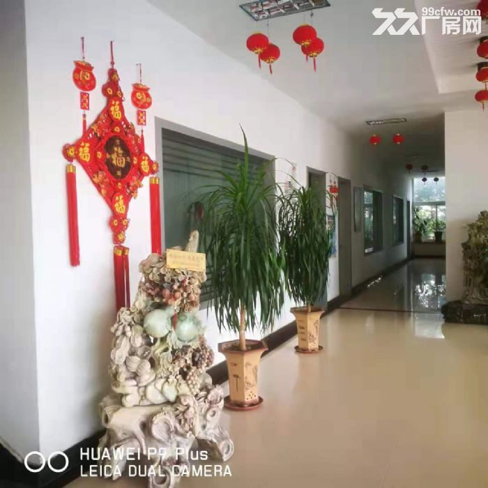 金州地區(qū)辦公樓出租5層可分租,還有廠房、倉庫、食堂均可出租-圖(3)