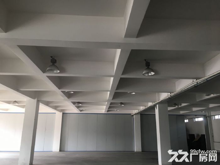 廠房庫房出租昌邦路10號-圖(4)