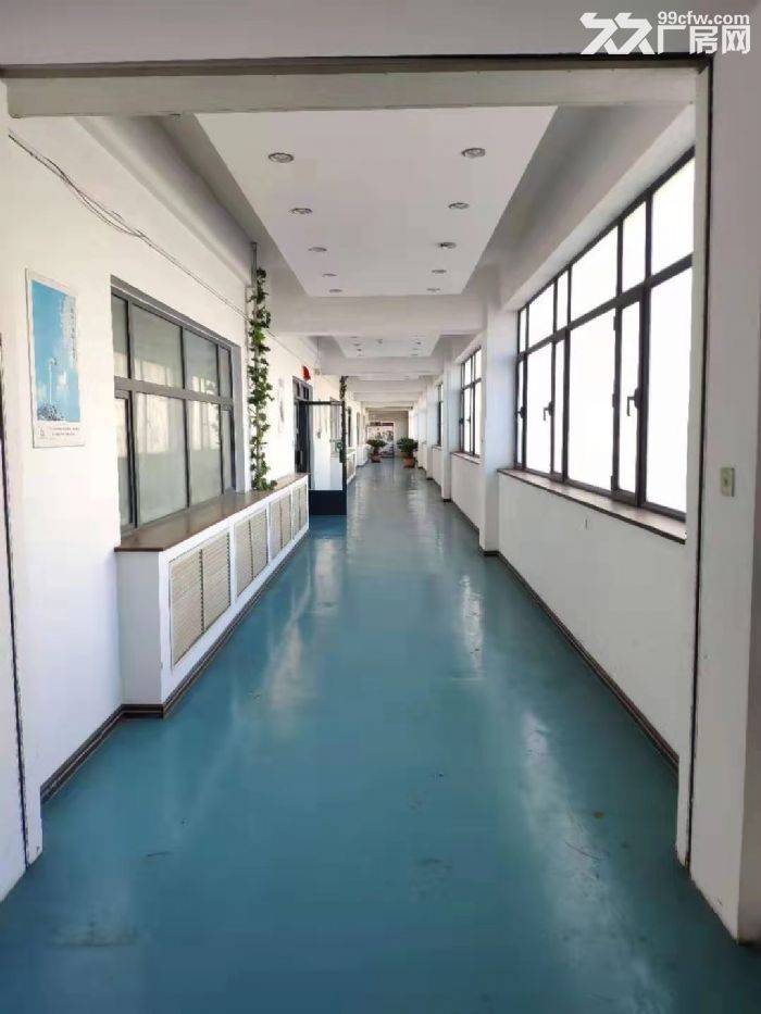 常年出租大連開發區自貿區遼河東路18號廠房???獨棟??產權證和土地證-圖（4）