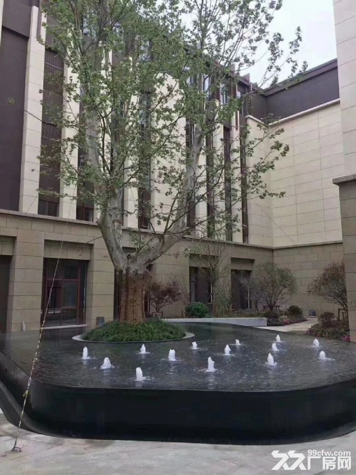 新建工業(yè)園區(qū)廠房出售，可環(huán)評可貸款-圖（4）