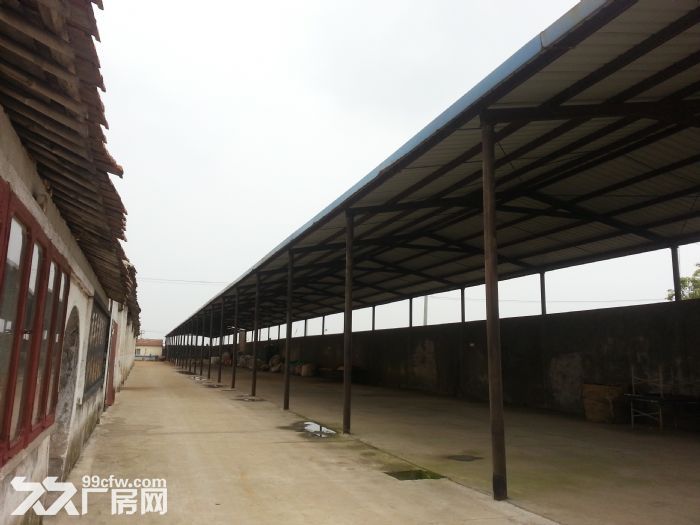 上海周邊啟東10000平米廠房出租!-圖(3)