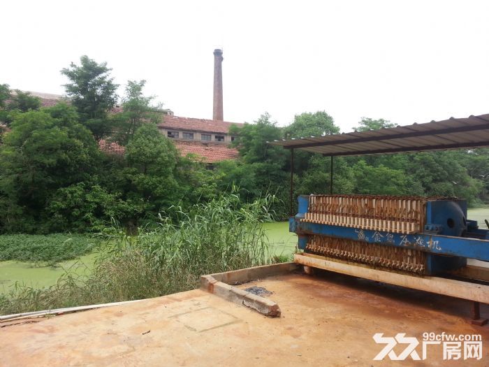 上海周邊啟東10000平米廠房出租!-圖(6)