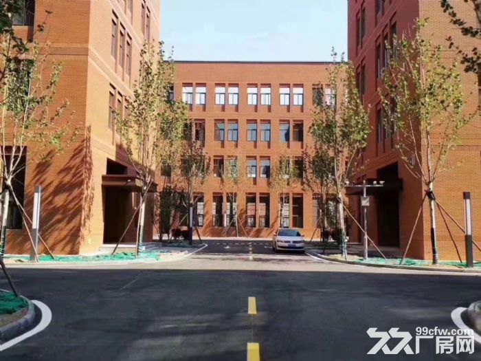 11、標準廠房、輕鋼廠房出售出租,全手續不拆遷,獨立房本 園區一期占地66畝,規-圖(1)