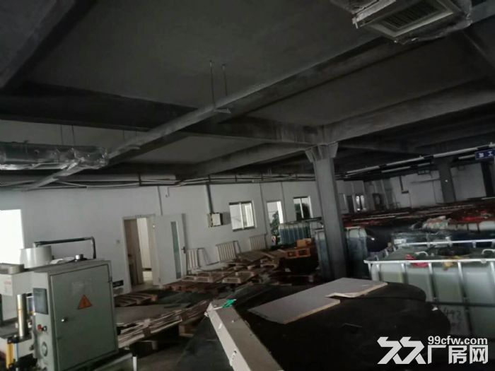保稅區廠房可整租分租-圖(1)