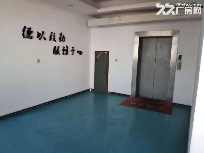 出租大連開發(fā)區(qū)雙D港廠房  380動力電  有產(chǎn)權(quán)和土地證-圖(3)