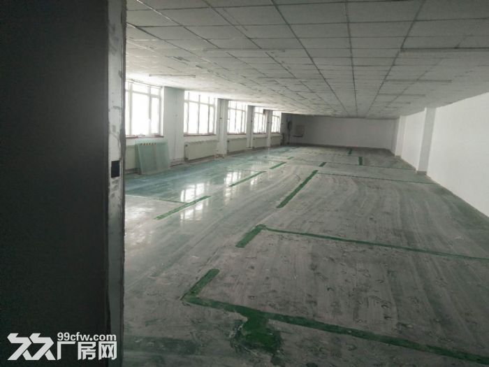 大連開發區保稅區泰豪孵化基地-圖(2)