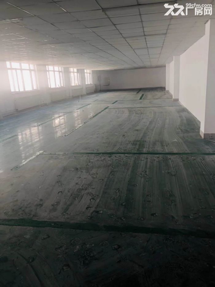 大連開發區保稅區泰豪孵化基地-圖(3)