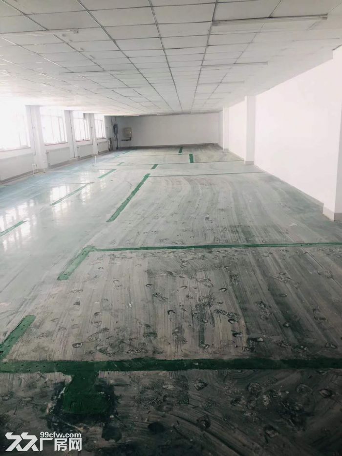 大連開發區保稅區泰豪孵化基地-圖(4)
