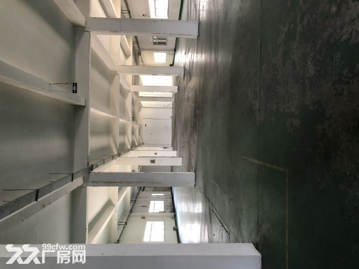 高城山 有政策扶持 租金含稅-圖(4)