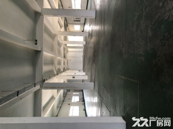 高城山 有政策扶持 租金含稅-圖(6)
