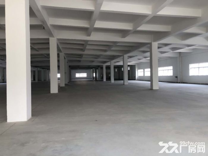 開發區高城山附近多層廠房出租-圖(5)
