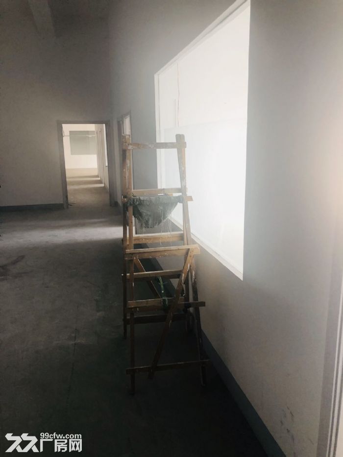 出租保稅區廠房,可分租-圖(2)