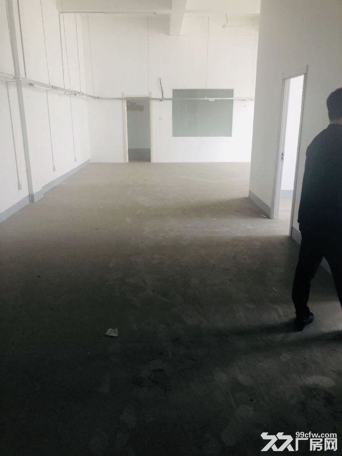 出租保稅區廠房,可分租-圖(4)
