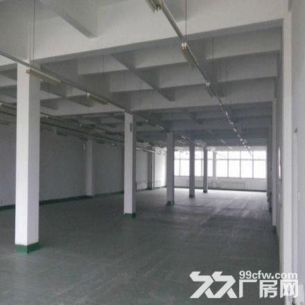出租倉庫 自貿區(保稅區)1240平米倉庫出租-圖(4)