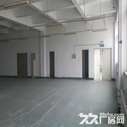 出租倉庫 自貿區(保稅區)1240平米倉庫出租-圖(5)
