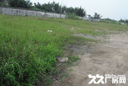 南通市通州區興仁機場附近50畝工業用地出租-圖(1)