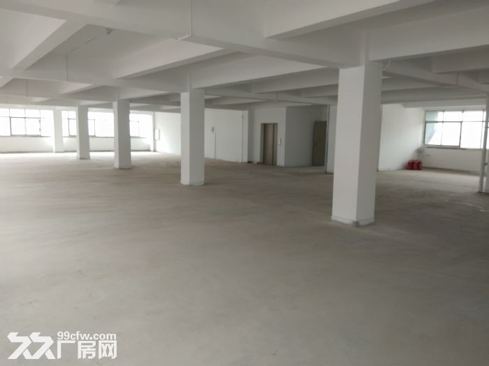 保稅區院內廠房、辦公室、倉儲出租-圖（2）