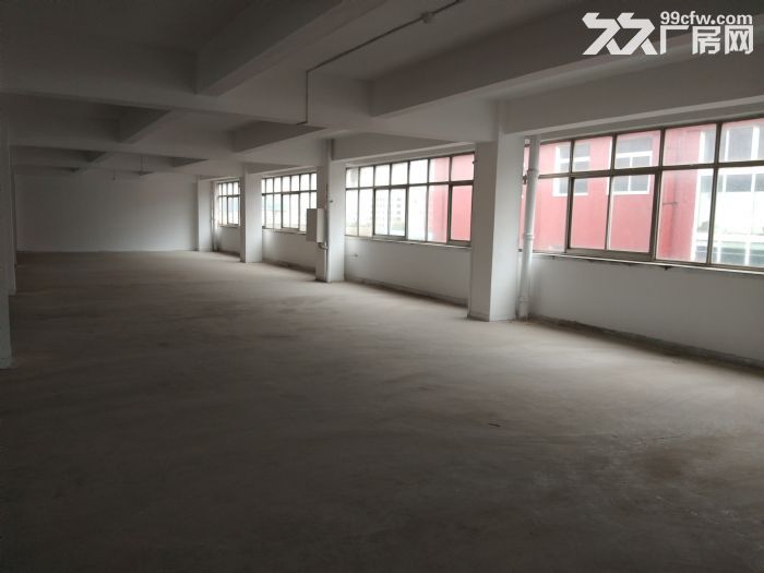 保稅區院內廠房、辦公室、倉儲出租-圖（3）