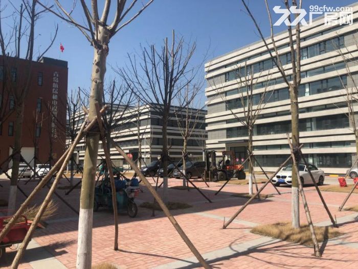 出售青島區域50年產權廠房?雙證齊全?可按揭貸款-圖(2)