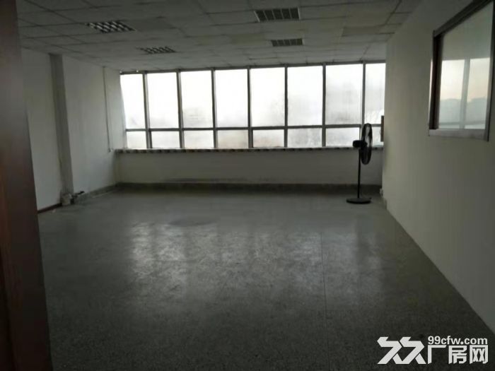 孤品,低價出租大院房,享受政府補貼-圖(2)