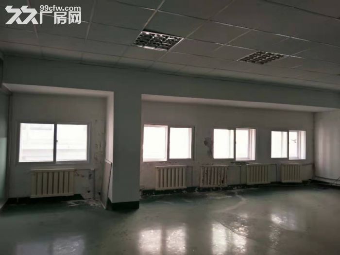 孤品,低價出租大院房,享受政府補貼-圖(3)