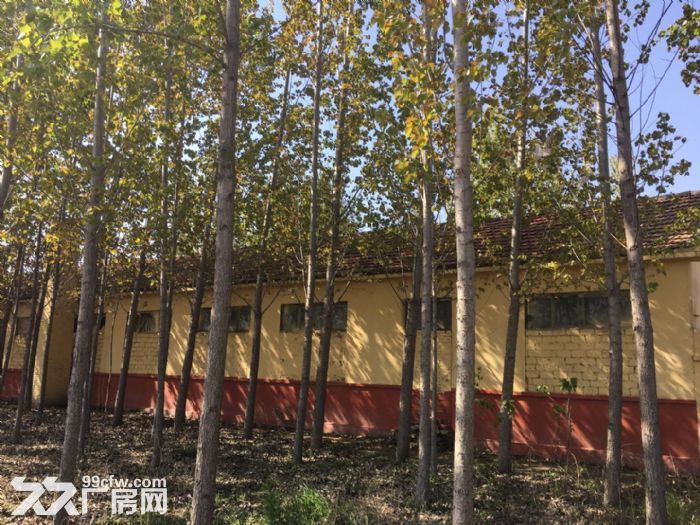 出售高密市 康庄社区8亩商住土地-图（3）