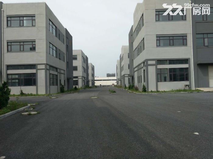 多棟聯排全新廠房辦公樓部分出租出售-圖(2)