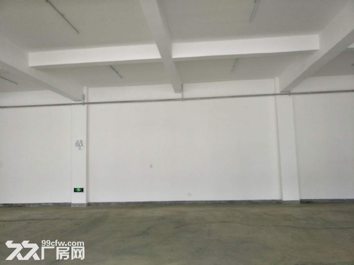 多棟聯排全新廠房辦公樓部分出租出售-圖(5)
