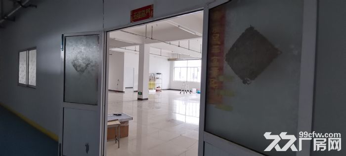 觀音山科技創業園辦公，倉庫，廠房出租-圖（6）