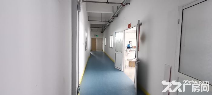 觀音山科技創業園辦公，倉庫，廠房出租-圖（7）