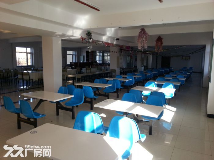 保稅區標準輕工框架廠房出租-圖(4)