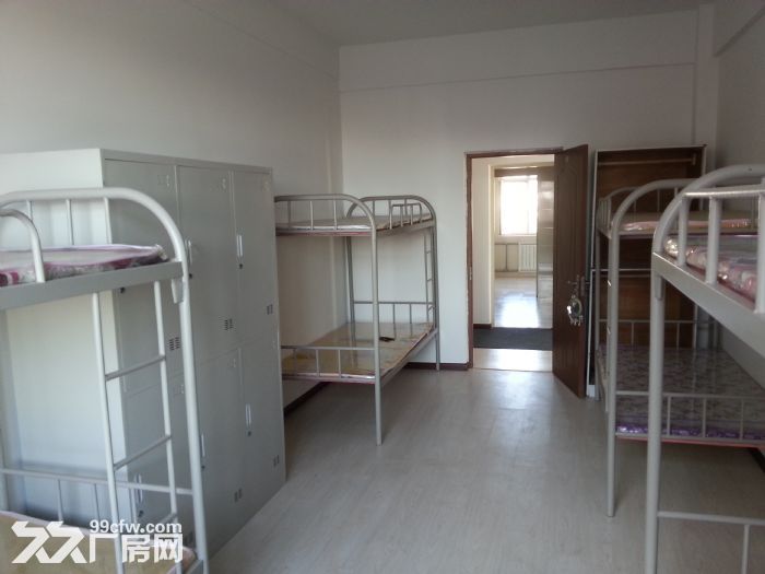 保稅區標準鋼結構廠房出租-圖(4)