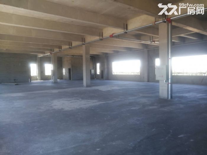 全新配套完整獨門獨院位置近市區價格便宜-圖(3)