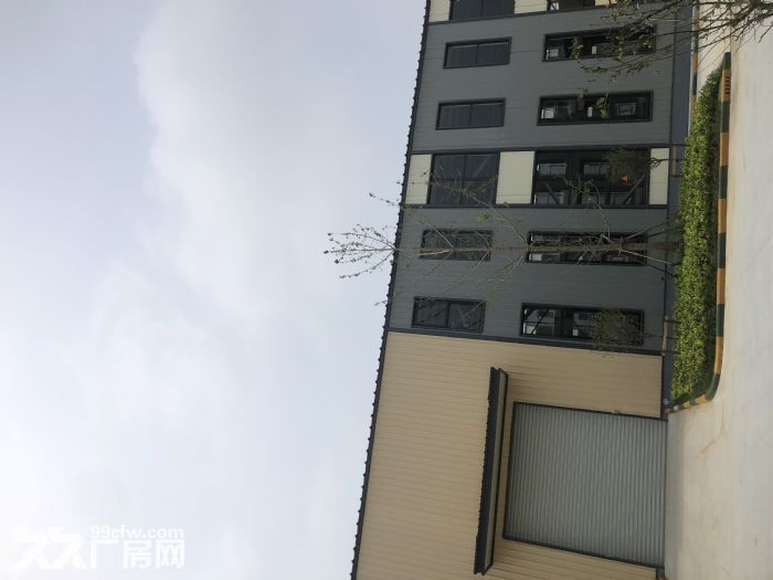 （新）（出售）3成首付，可按揭貸款，高標準廠房-圖（1）