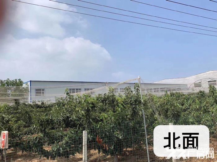 廠房出售(可置換)價格可議-圖(5)