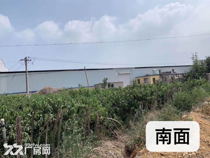廠房出售(可置換)價格可議-圖(7)