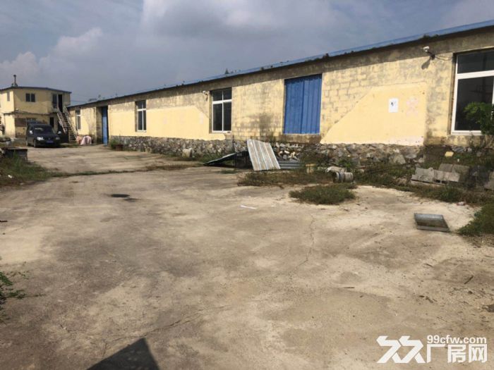 低價出租2200平廠房倉庫-圖(2)